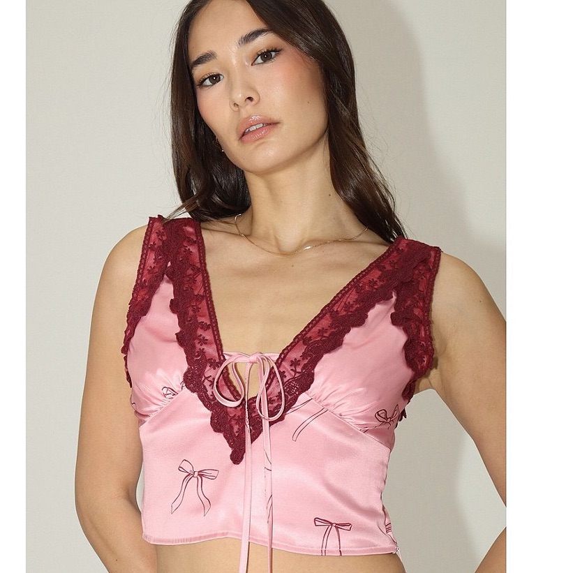 Chic Pink And Burgundy Lace Chemise